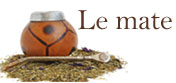 tout savoir sur la Yerba mate